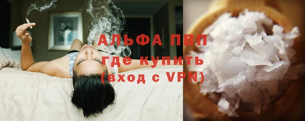 сатива Осташков