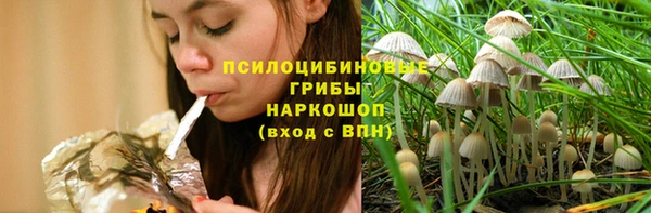 сатива Осташков