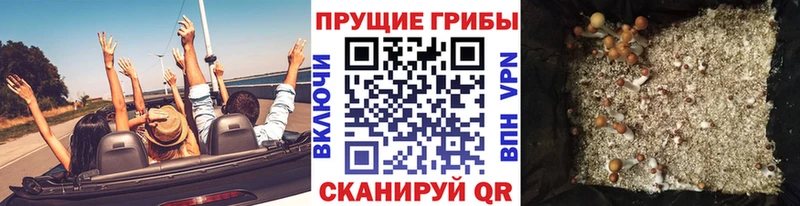 Псилоцибиновые грибы прущие грибы Янаул